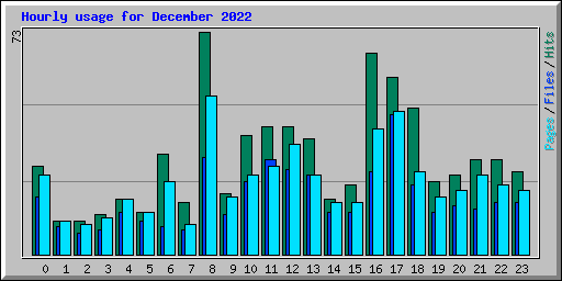 Hourly usage for December 2022